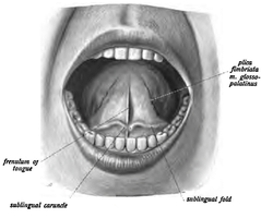 Sublingual administration