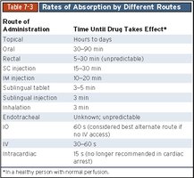 Rates of absorption by different routes