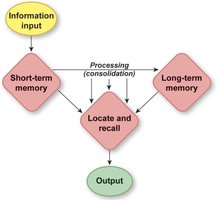 Memory processing