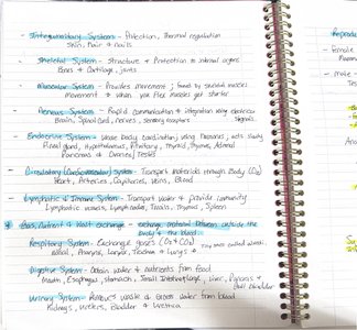 Handwritten notes summarizing organ systems and their functions