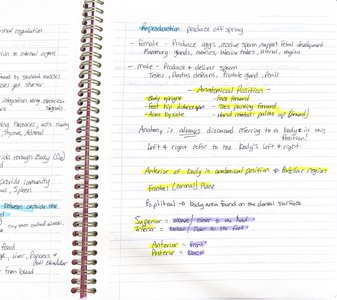 Handwritten notes on anatomical position and directional terms
