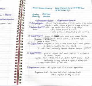 Handwritten notes showing structural organization levels