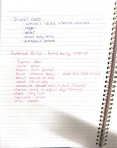 Handwritten notes on survival needs and anatomical position