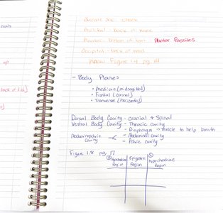 Handwritten notes on body planes and cavities