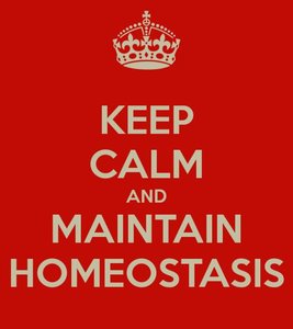 Keep calm and maintain homeostasis poster