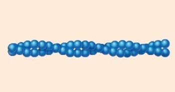 Microfilament structure
