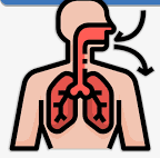 Pulmonary ventilation factors