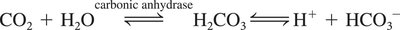 CO2 transport equation