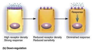 Down-regulation of hormone receptors