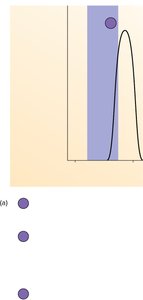 Refractory period and tension in cardiac muscle