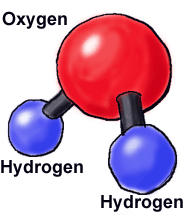 Golgi apparatus organelle