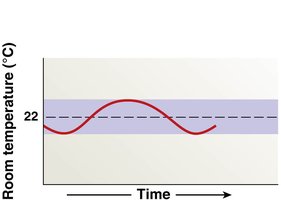 Homeostatic regulatory mechanism flowchart