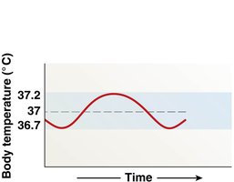 Body temperature regulation graph