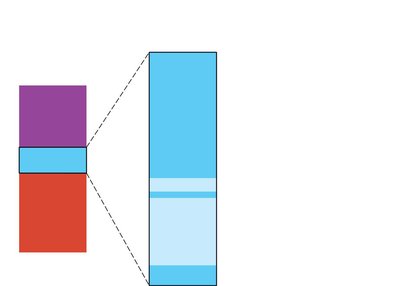 Differential WBC count and types