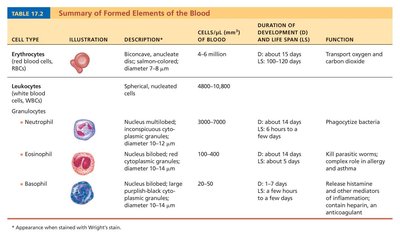 Summary table of formed elements (part 1)