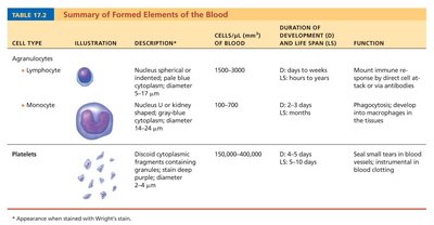 Summary table of formed elements (part 2)