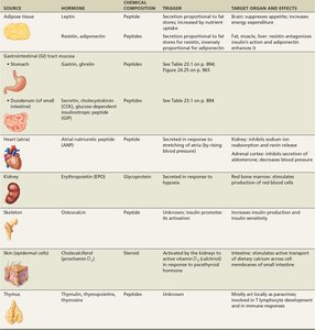 Table of hormone-producing organs and their effects