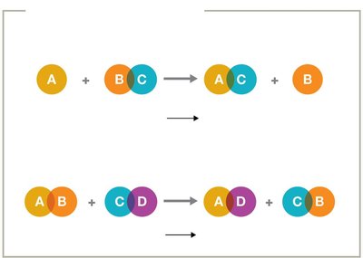 Exchange reactions