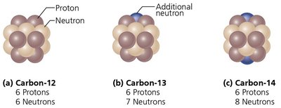 Nuclei of the three naturally occurring isotopes of carbon