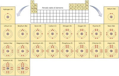Bohr diagrams of the first 20 elements