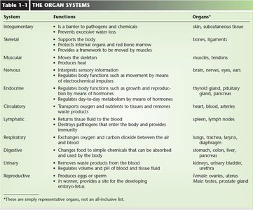 Table of organ systems and their functions