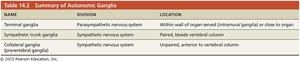 Summary of autonomic ganglia