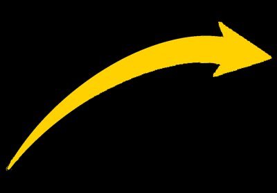 Cross-section of bone showing endosteum