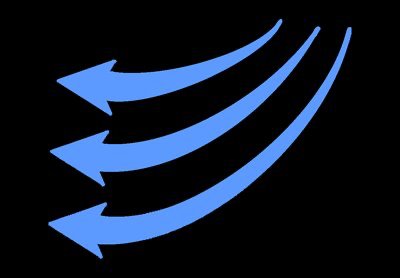 Detailed view of periosteum and endosteum