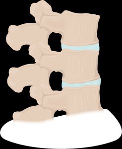 Bone matrix composition
