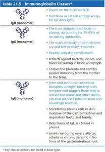 Immunoglobulin classes IgD, IgG, IgE
