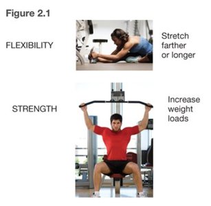 Examples of flexibility and strength overload