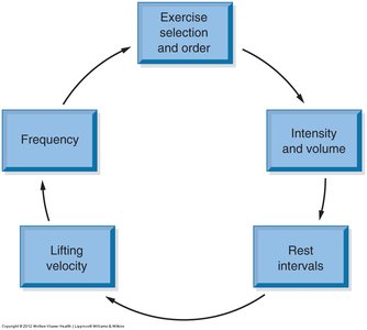 Cycle of acute program variables