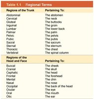 Regional terms table
