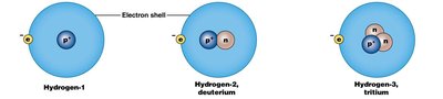 Isotopes of hydrogen: hydrogen-1, deuterium, tritium