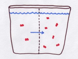 Osmosis diagram relevant to diabetes mellitus