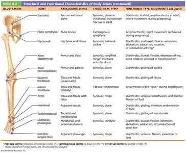 Structural and Functional Characteristics of Body Joints table