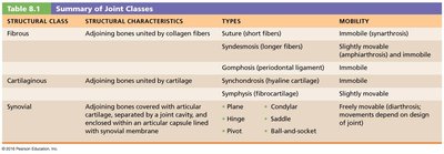 Summary of Joint Classes table
