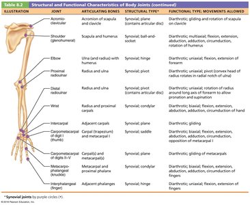 Structural and Functional Characteristics of Body Joints table