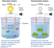 Comparison of electrical conduction in electrolytes and nonelectrolytes