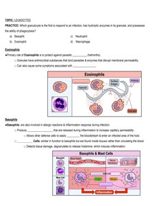 Neutrophil function and response