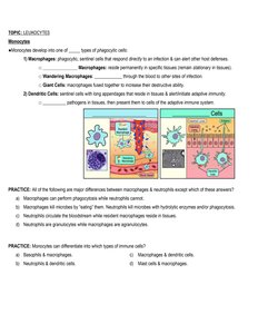 Monocyte differentiation and function
