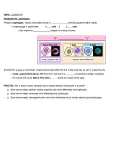 Lymphocyte subtypes and immune response