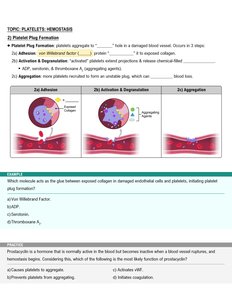 Platelet plug formation: adhesion, activation, aggregation