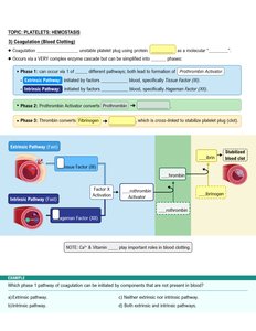 Coagulation cascade: extrinsic and intrinsic pathways