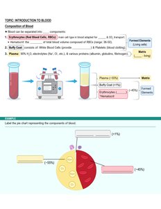 Blood composition: plasma, buffy coat, erythrocytes