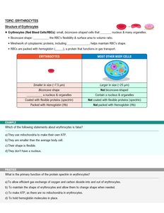 Erythrocyte structure and comparison to other cells