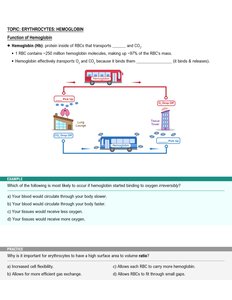 Hemoglobin function and oxygen transport