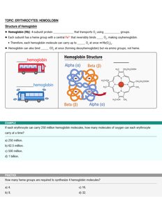 Hemoglobin structure: alpha, beta, heme