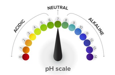 pH scale showing acidic, neutral, and alkaline regions
