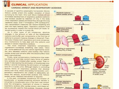 Clinical application: Cardiac arrest and respiratory acidosis